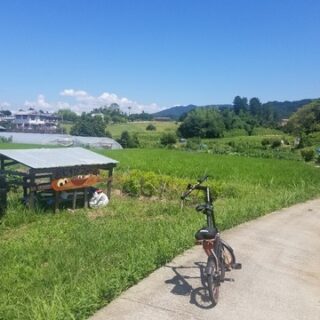 三角形と修学旅行！