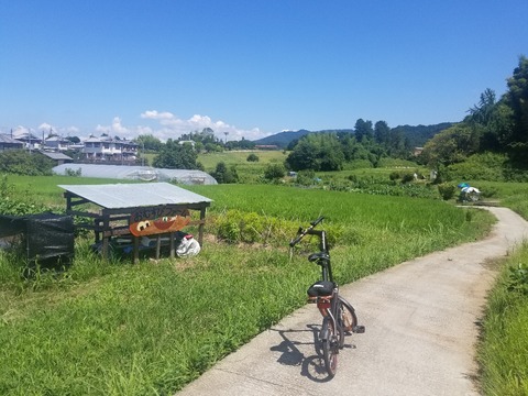 三角形と修学旅行！